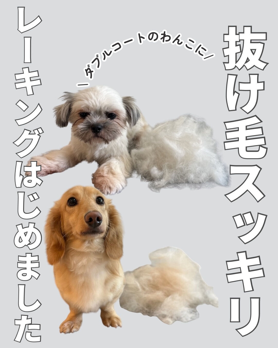 レーキングはじめました！