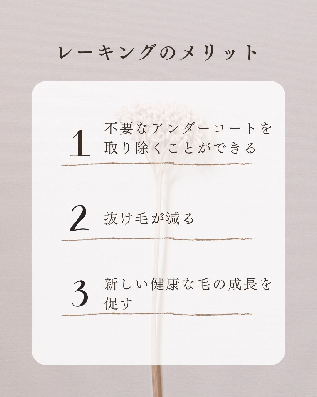 レーキングはじめました！