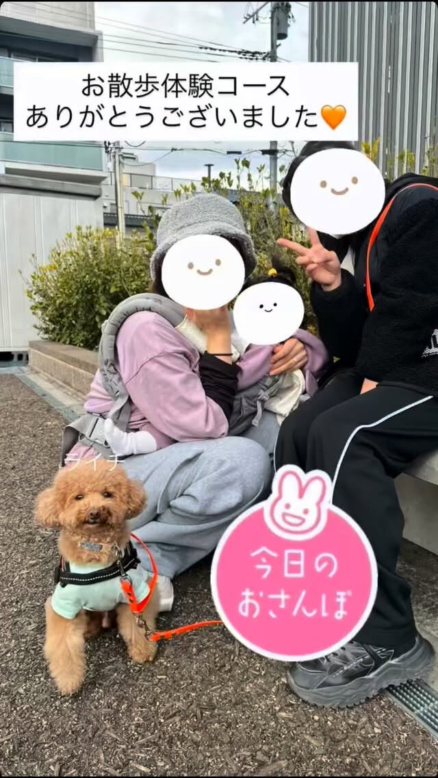 お散歩体験コースのご案内です🐾