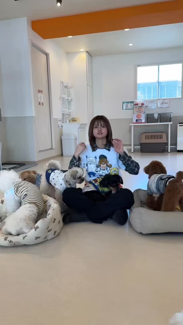 見どころは観客のバニちゃんです🐶