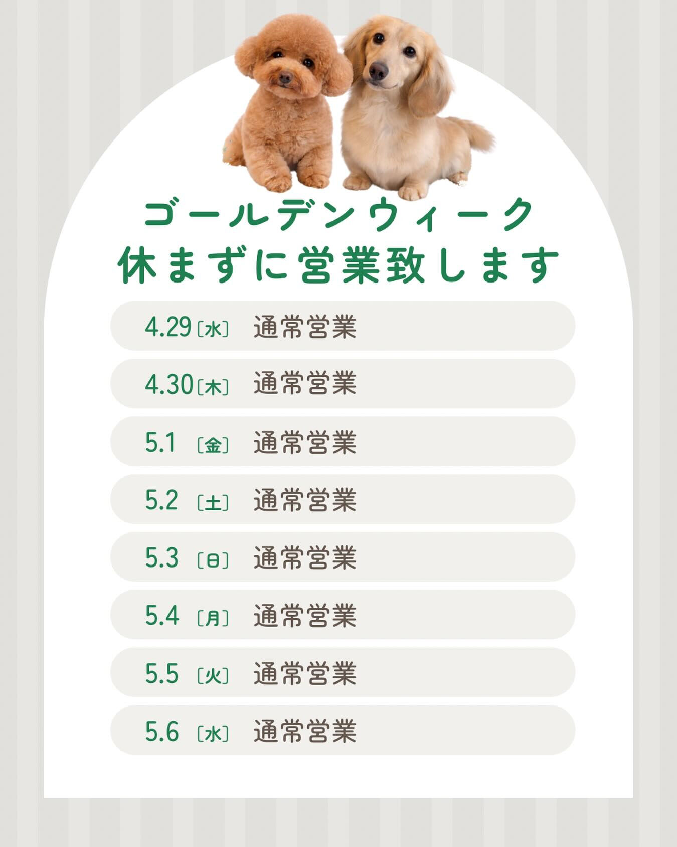 ゴールデンウィークは休まずに営業いたします🐶