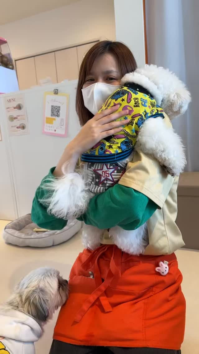 ﾐｭｰｼﾞｯｸ､ｽﾀｰﾂ👆