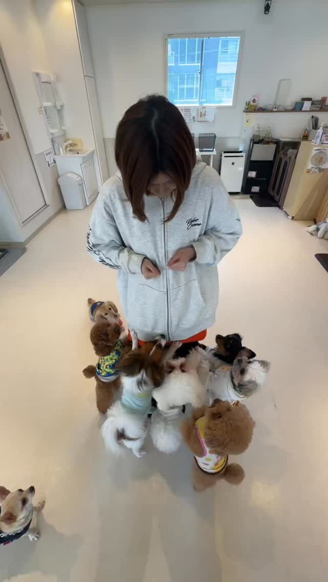 どーーーっちだ！