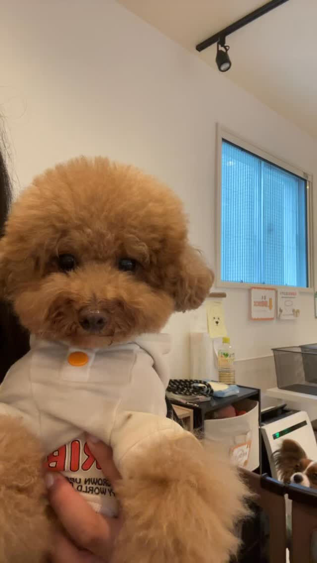 ライチはいちばん弱いです🤭笑
