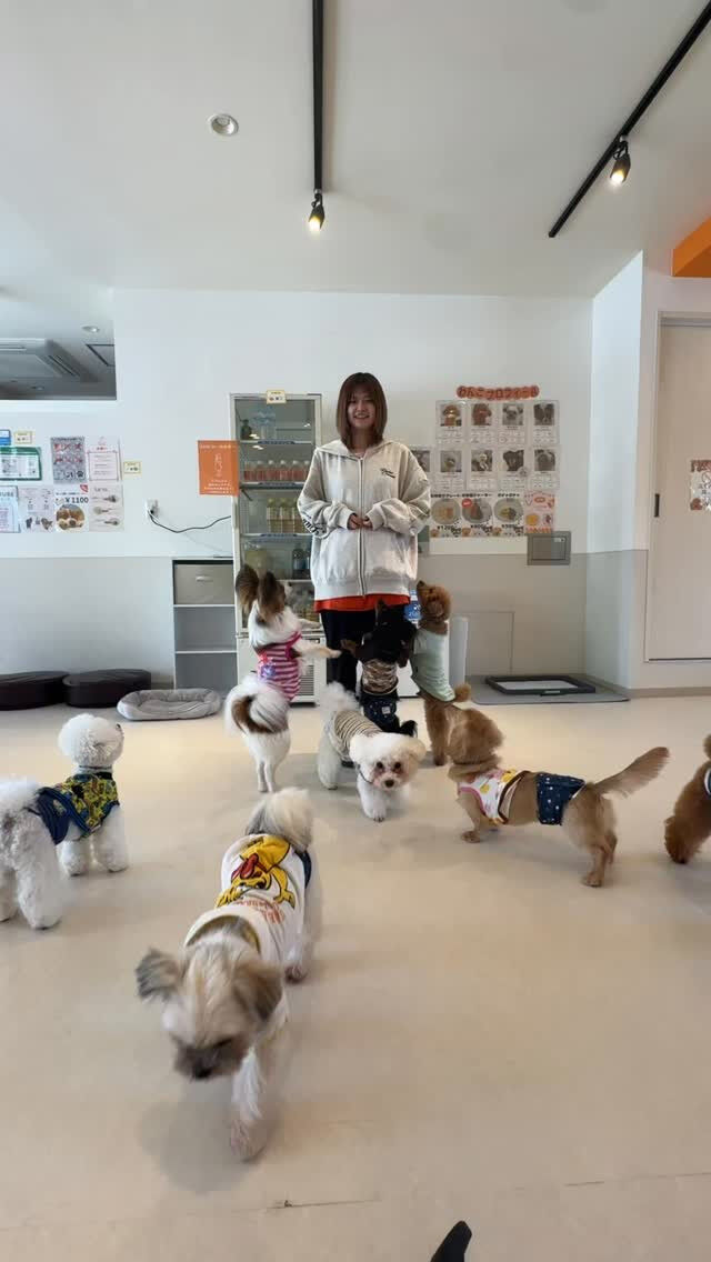 今日は観客多め😏