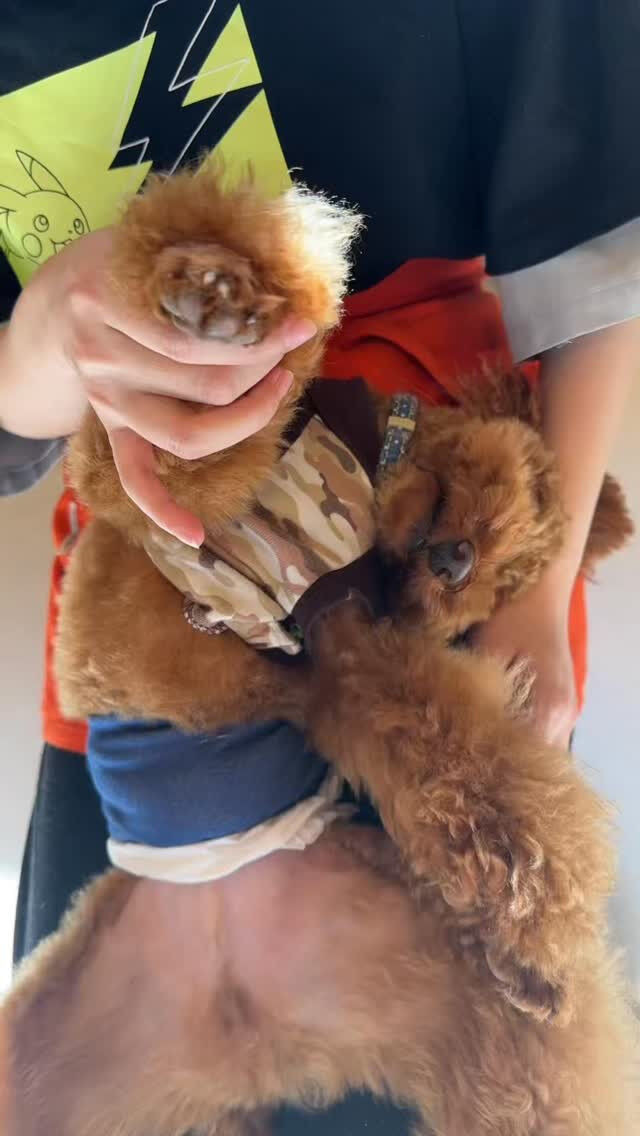 ぼくのこと愛してくれる…？🧡