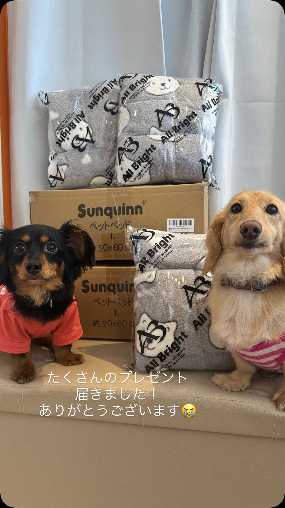 たくさんのプレゼント