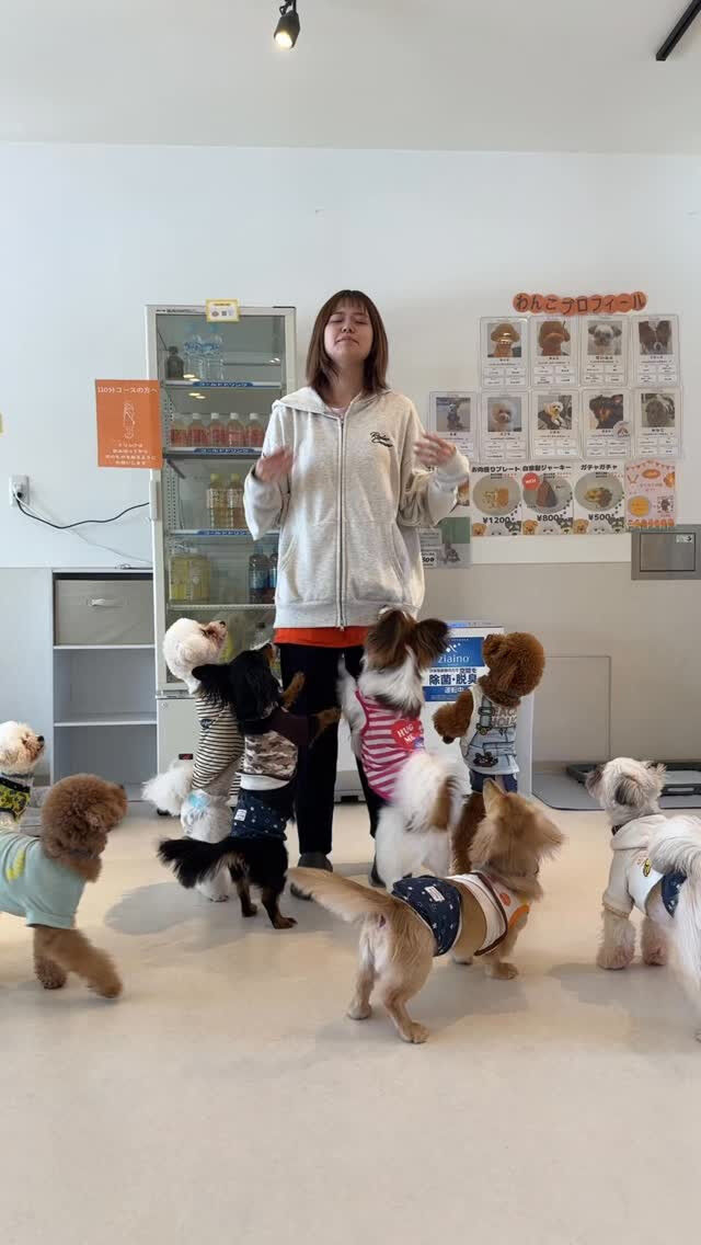 みんなで仲良く踊ってみた💃