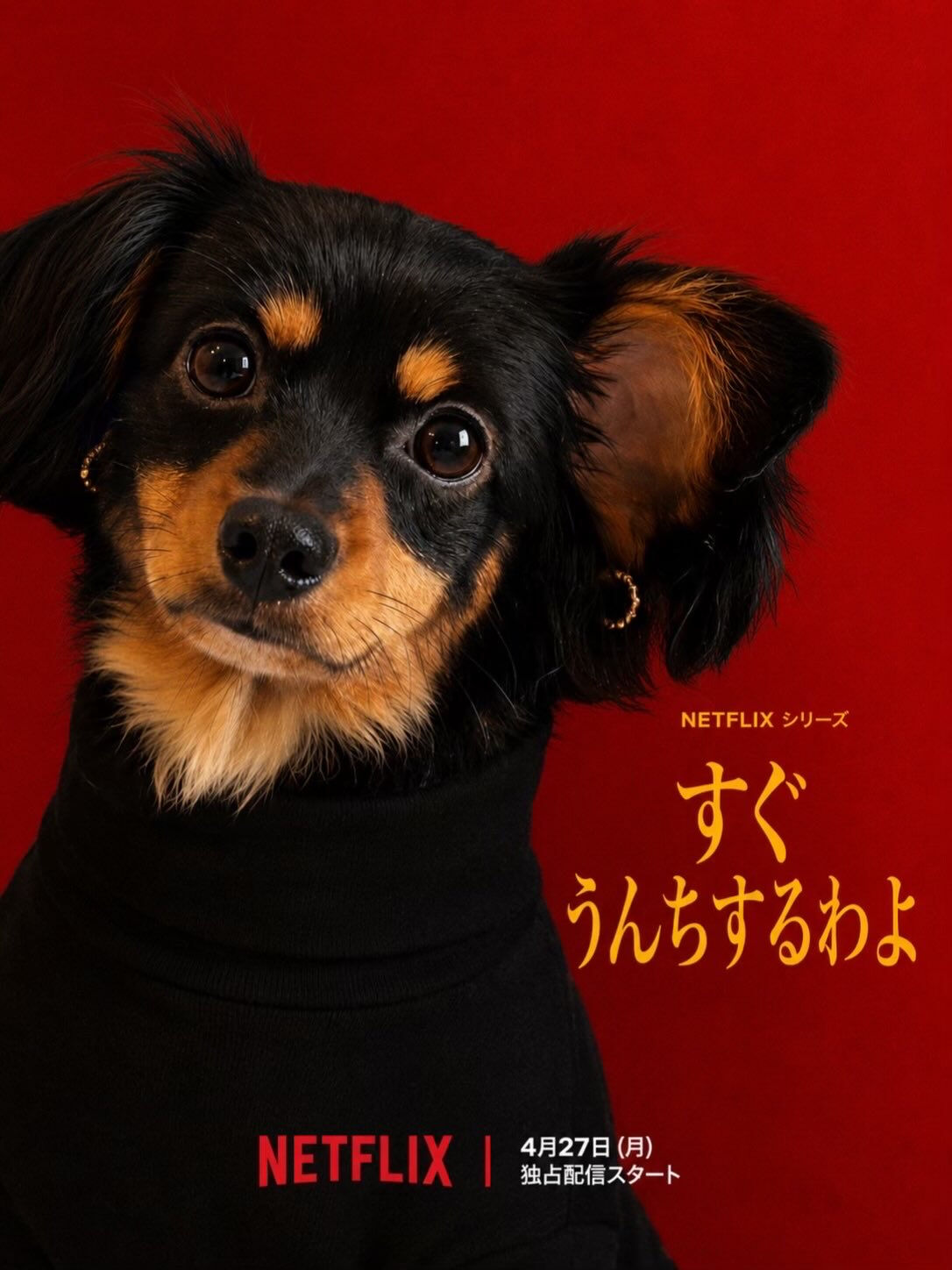 犬カフェらいちのメンバーでやってみました✨