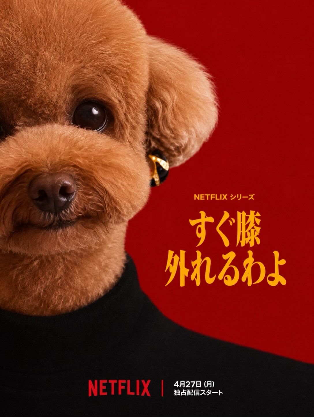 犬カフェらいちのメンバーでやってみました✨