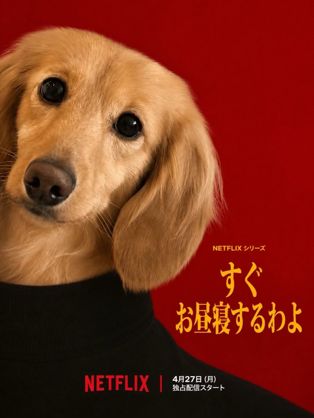 犬カフェらいちのメンバーでやってみました✨