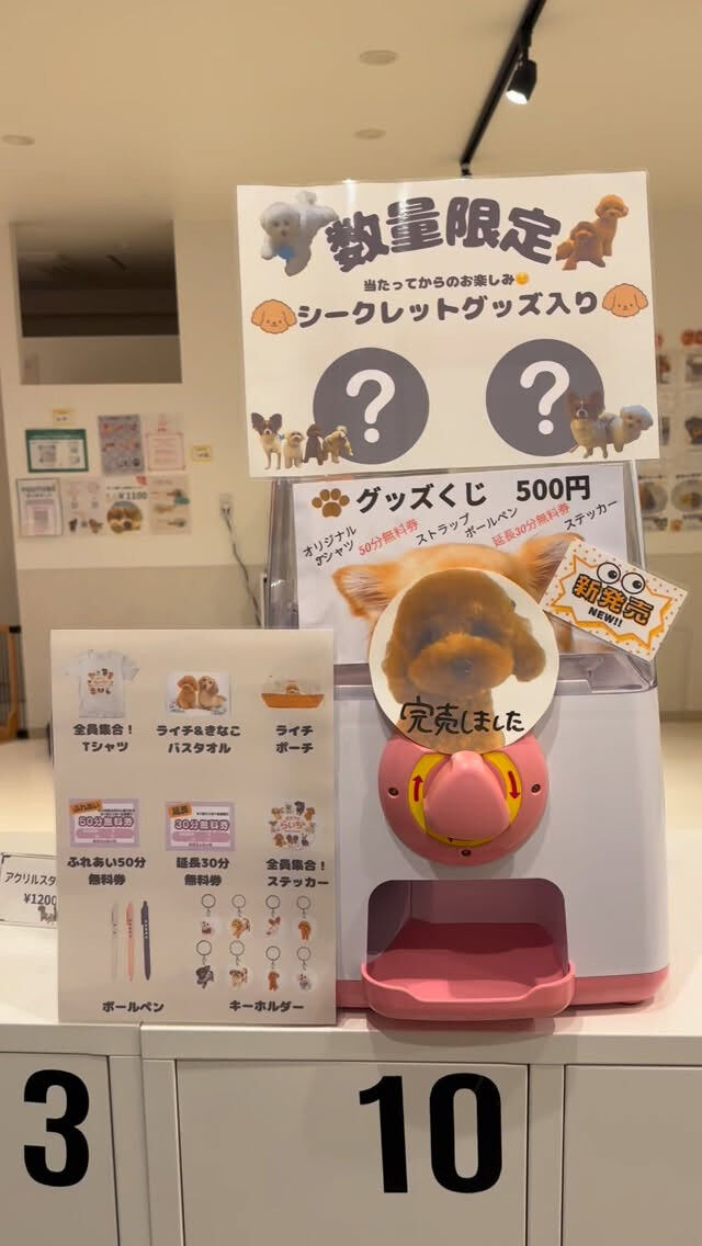 グッズガチャ完売しました🫰