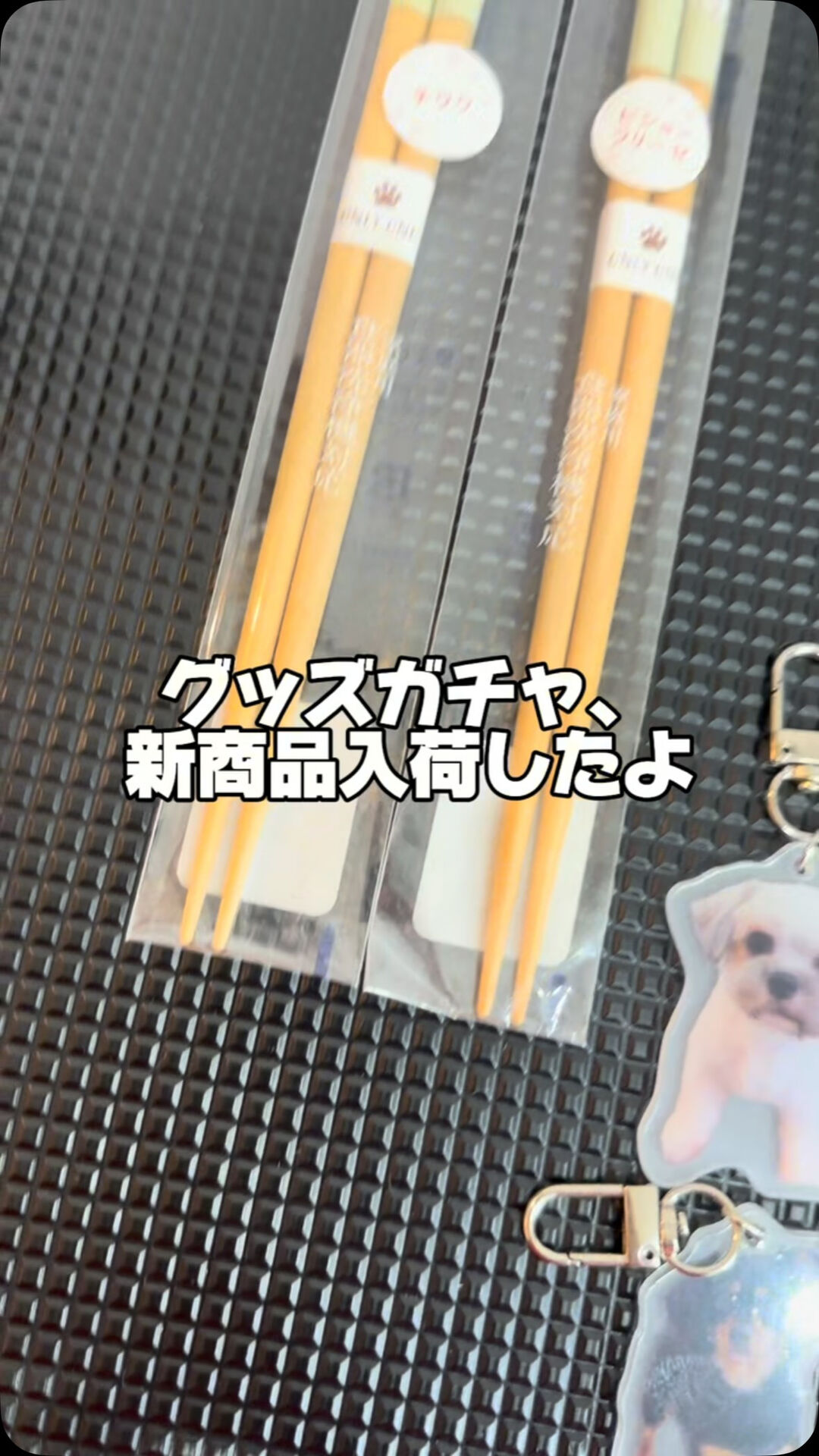 グッズガチャ、新商品入荷のお知らせ📢