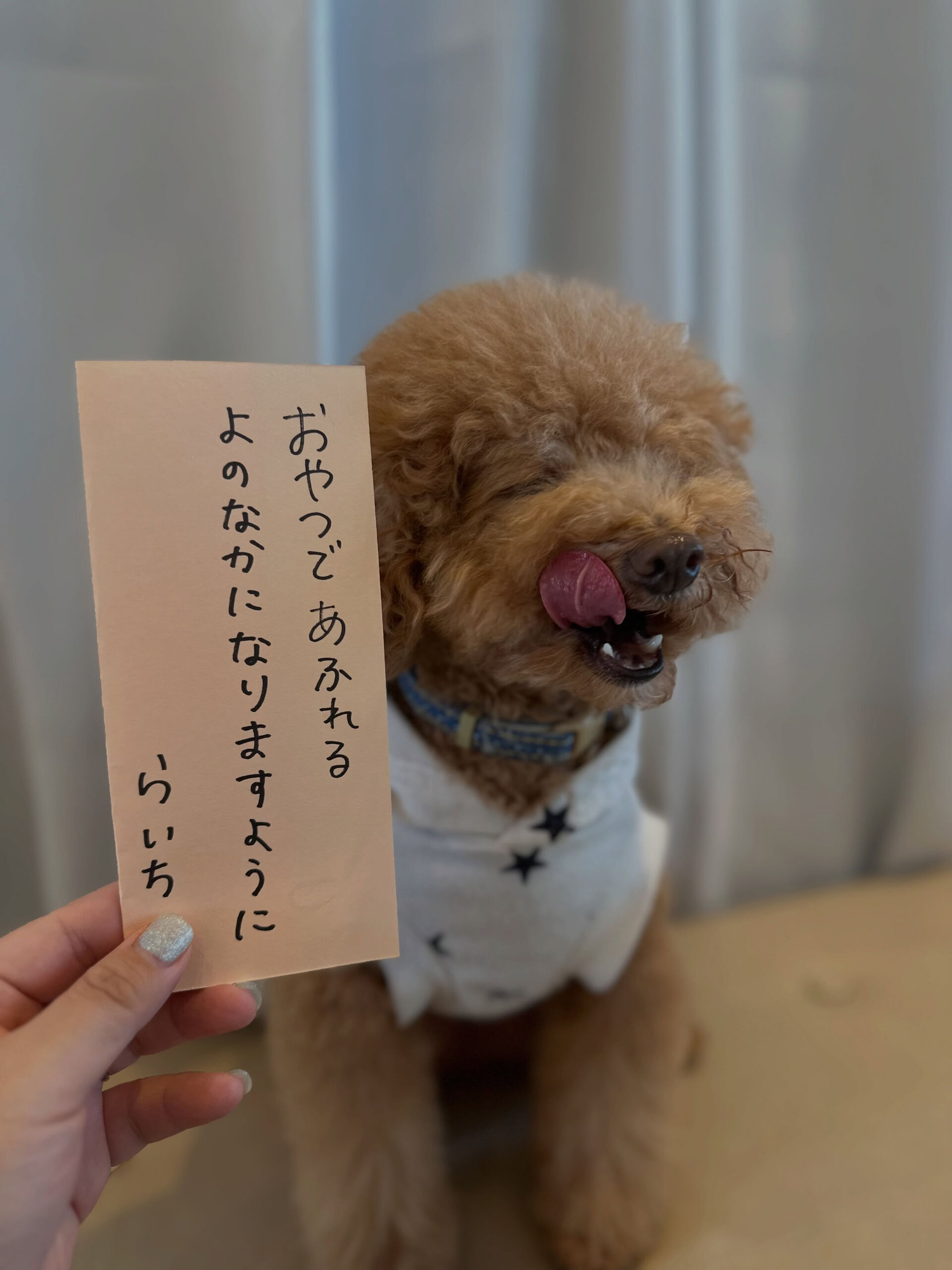 遅めの七夕🎋