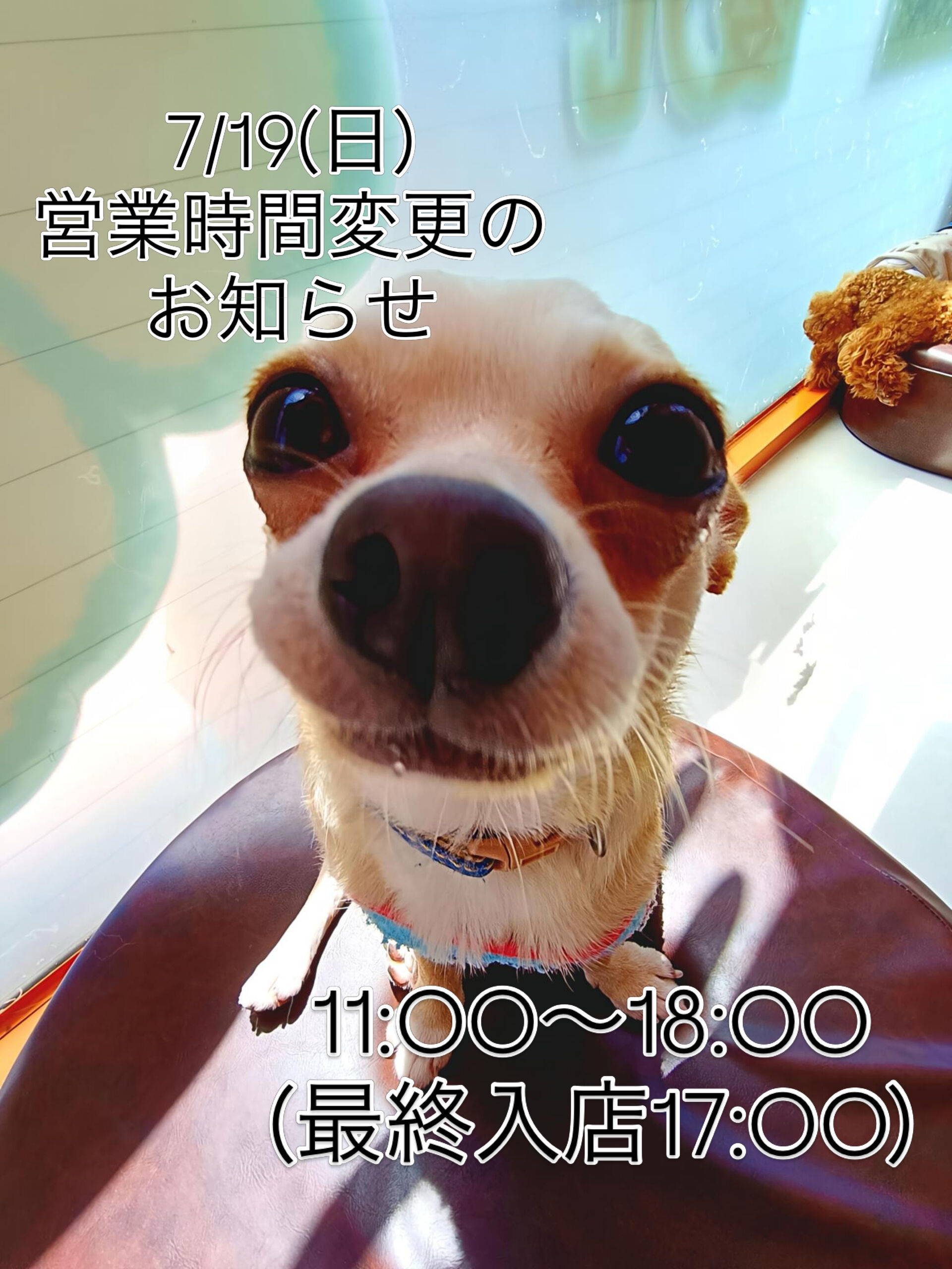 7/19(日)の営業時間変更のお知らせです📢