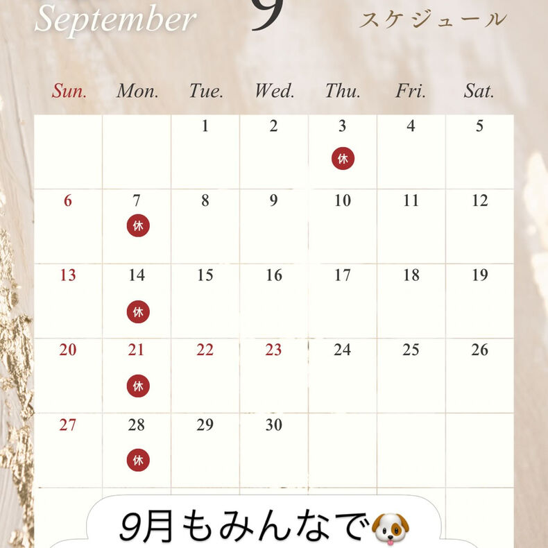 画像3235：9月も犬カフェらいちをよろしくお願いいたします🙇‍♀️✨ 