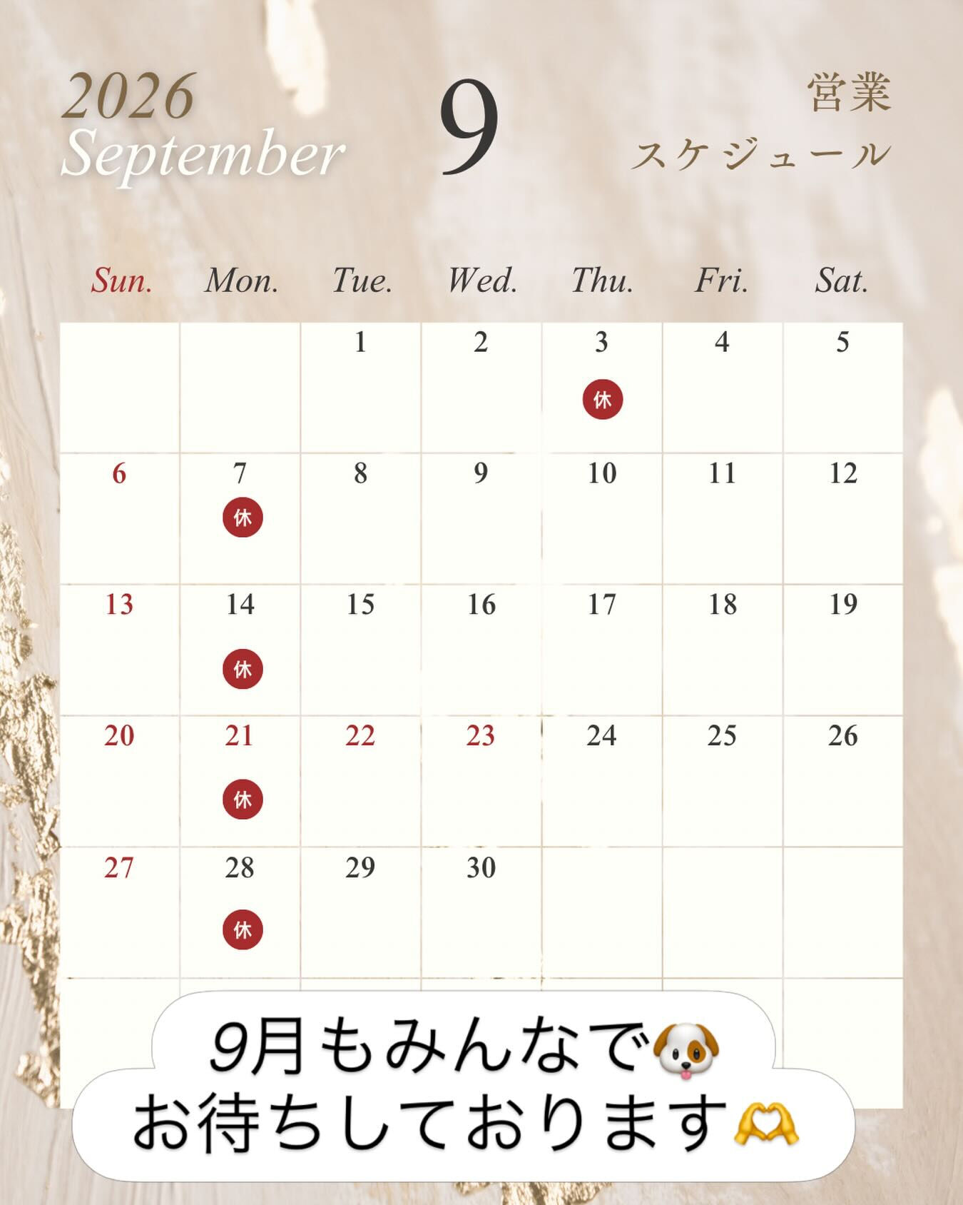 9月も犬カフェらいちをよろしくお願いいたします🙇‍♀️✨ 
