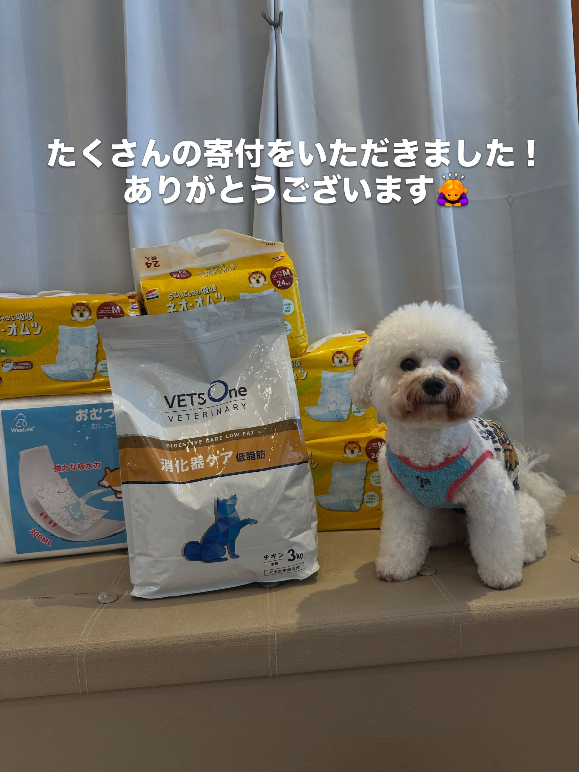 たくさんのご寄付をいただきました！