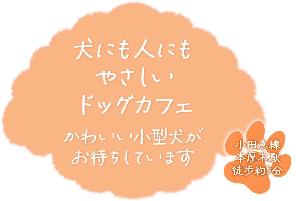 mv_catch