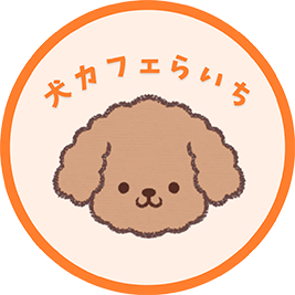 犬カフェらいち